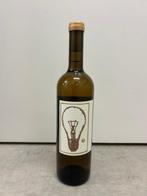 2022 Sine Qua Non Distent IV - Californië, Nieuw