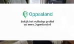 Wesley zoekt een oppas in Nieuwe Wetering.