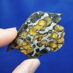 Zeer mooie PALLASITE Plak. SERICHO (Kenia, 2016) ZONDER