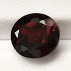 Zonder Minimumprijs Rood Granaat  - 5.81 ct - International, Nieuw