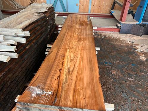 12X Boomstambladen, Iep, complete partij 520,- REF 781, Doe-het-zelf en Verbouw, Hout en Planken, Overige houtsoorten, 250 tot 300 cm