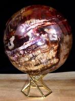 Versteend hout Bol - Hoogte: 12.7 cm - Breedte: 12.7 cm-