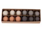 Ganzeneieren Naturel Grijs assortet +/- 8 cm mooie eieren, Nieuw, Ophalen of Verzenden