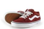 Vans Sneakers in maat 40 Rood | 10% korting, Overige kleuren, Verzenden, Vans, Sneakers of Gympen