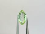 Zonder minimumprijs - 1 pcs Groen Paraiba toermalijn - 2.53, Sieraden, Tassen en Uiterlijk, Edelstenen, Nieuw