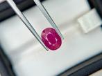 Zonder minimumprijs - 1 pcs Rood Robijn - 2.69 ct -, Nieuw