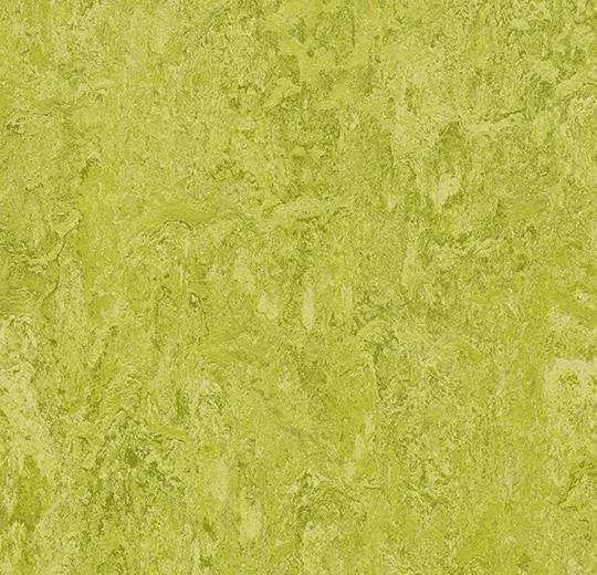Forbo Marmoleum Authentic 3224 chartreuse, Huis en Inrichting, Stoffering | Vloerbedekking, Verzenden