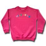 Roze Meisjes Sweater, Kinderen en Baby's, Kinderkleding | Maat 134, Nieuw, Wild Child Kidswear, Meisje, Trui of Vest