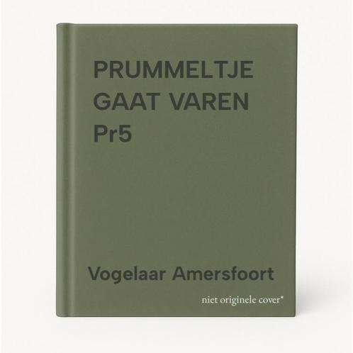 PRUMMELTJE GAAT VAREN   Pr5 9789033611155, Boeken, Overige Boeken, Gelezen, Verzenden