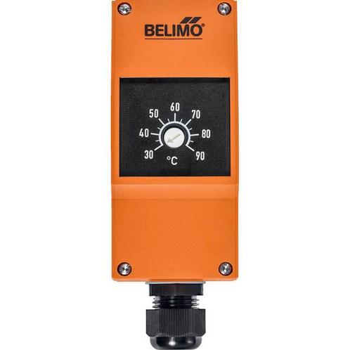 Temperatuurmonitor 1m 30-90 °C/86-194°F Automatische reset, Doe-het-zelf en Verbouw, Verwarming en Radiatoren, Overige typen, Nieuw