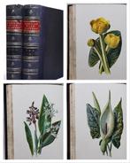 F. Edward Hulme - Familiar Wild Flowers (Complete Five