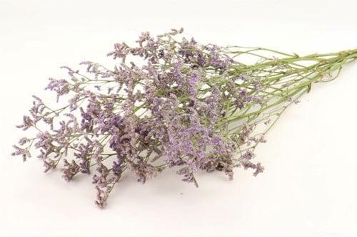 Limonium Diamond Lamsoor Statice Blauw 60 cm, Huis en Inrichting, Woonaccessoires | Kunstplanten en Kunstbloemen, Nieuw, Ophalen of Verzenden