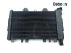 Radiateur Triumph Sprint Sport 900 1998, Verzenden, Gebruikt