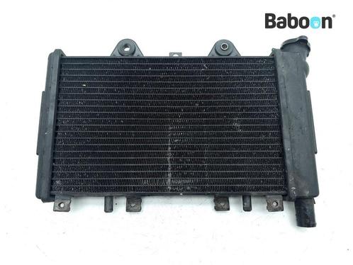 Radiateur Triumph Sprint Sport 900 1998, Motoren, Onderdelen | Overige, Gebruikt, Verzenden