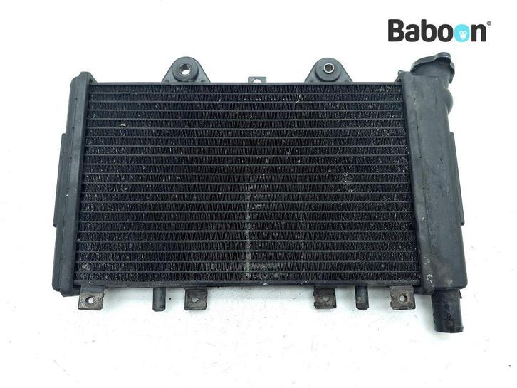 Radiateur Triumph Sprint Sport 900 1998, Motoren, Onderdelen | Overige, Gebruikt, Verzenden
