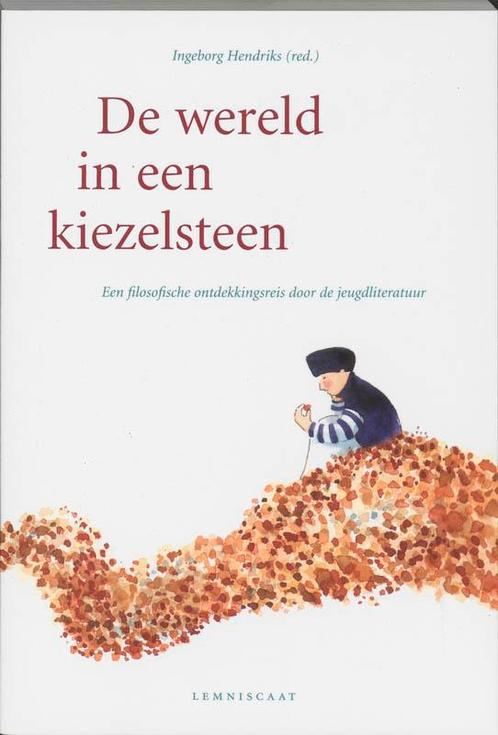 De wereld in een kiezelsteen 9789056375041, Boeken, Filosofie, Gelezen, Verzenden