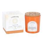 Capricorn - Sandalwood & Jasmine Gemstone Zodiac Candle, Huis en Inrichting, Ophalen of Verzenden, Nieuw