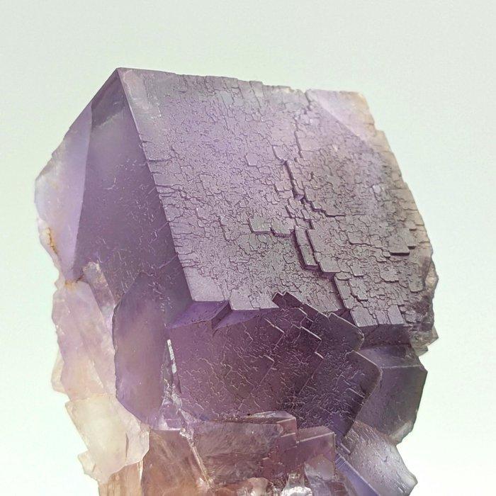 FLUORITE VIOLA met RUGGEN, Groot Kristal Kristalen - Hoogte:, Verzamelen, Mineralen en Fossielen