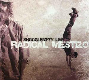 cd digi - Shooglenifty - Radical Mestizo, Cd's en Dvd's, Cd's | Rock, Zo goed als nieuw, Verzenden