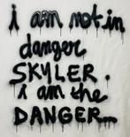 JOHANNE8 (1974) - I am not in Danger Skyler, I am the Danger
