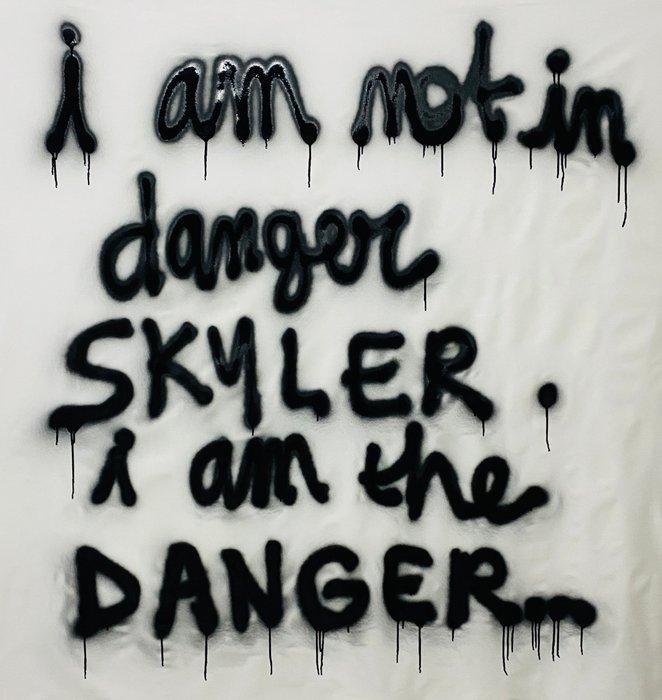 JOHANNE8 (1974) - I am not in Danger Skyler, I am the Danger, Antiek en Kunst, Kunst | Schilderijen | Modern