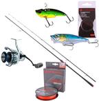 Ultimate Seabass Slayer Set 270cm (10-35g), Watersport en Boten, Verzenden, Nieuw