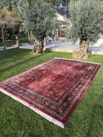 Top XXL Indo Bidjar - Tapijt - 370 cm - 250 cm, Nieuw