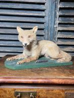 Vos Taxidermie volledige montage - Vulpes Vulpes - 25 cm -, Verzamelen, Dierenverzamelingen, Nieuw