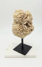 Woestijnroos op standaard (zie filmpje), Verzamelen, Mineralen en Fossielen, Ophalen of Verzenden