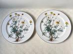 Villeroy & Boch - Eetservies (6) - Botanica -, Antiek en Kunst