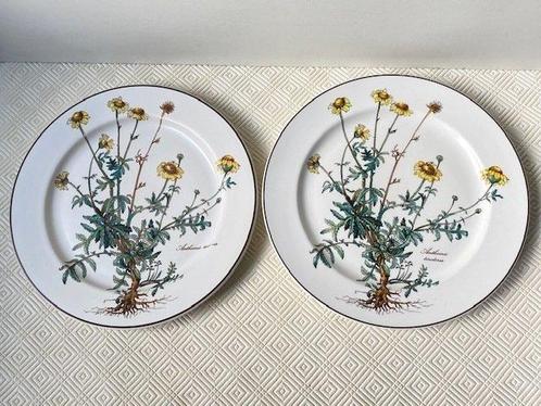 Villeroy & Boch - Eetservies (6) - Botanica -, Antiek en Kunst, Antiek | Meubels | Tafels
