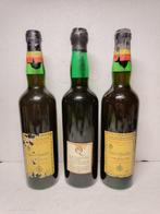 Pellegrino 1880, Rallo 1860 x2 - Sicilië - 3 Flessen (0.75, Verzamelen, Nieuw