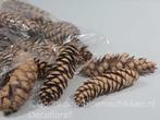 Denneappel strobus naturel 20-25cm.per stuk  grote, Hobby en Vrije tijd, Knutselen, Ophalen of Verzenden, Nieuw