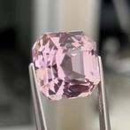 Zonder Minimumprijs Roze Kunziet - 36.67 ct - nternational, Nieuw