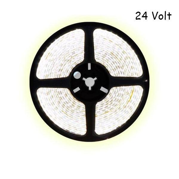 2,5 meter koud wit led strip - 60Leds/m - 24V, Hobby en Vrije tijd, Elektronica-componenten, Nieuw, Ophalen of Verzenden