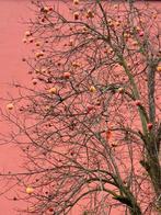 Anna Marzia Soria - Autumn in love