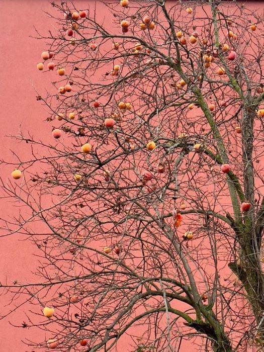 Anna Marzia Soria - Autumn in love, Antiek en Kunst, Kunst | Designobjecten