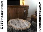 Versteend hout salontafel miljoenen jaar oud! Zeer exclusief