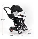 Driewieler met Duwstang, Draaibare Zitting en Luifel (25 kg), Verzenden, Nieuw