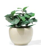 HEMA Bloempot 12x14cm keramiek grijs, Verzenden