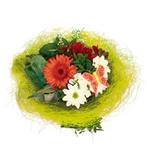 Boekethouder sisal lichtgroen 25 cm - exclusief decoratie, Ophalen of Verzenden, Nieuw