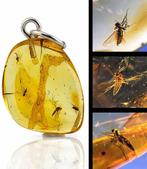 Barnsteen - Super Rare Multi-Inclusion BALTIC AMBER – 4, Verzamelen