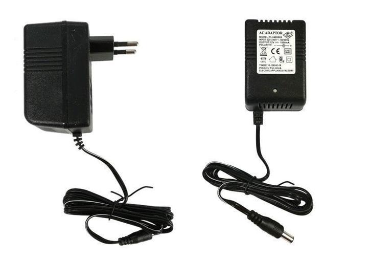 12V 1000mA universele oplader voor elektrische kinderauto, Kinderen en Baby's, Speelgoed | Buiten | Accuvoertuigen, Nieuw, Ophalen of Verzenden