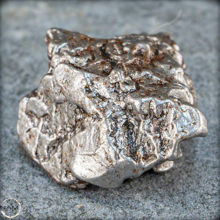 Natuurlijk Campo-del-Cielo-meteoor Zeldzaam verzamelobject, Verzamelen, Mineralen en Fossielen