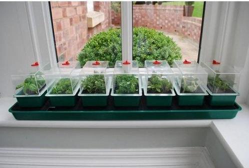 GARLAND SUPER 7 ZELF BEWATERENDE PROPAGATOR 76X18.5X17CM, Tuin en Terras, Kweekspullen, Overige typen, Nieuw, Ophalen of Verzenden