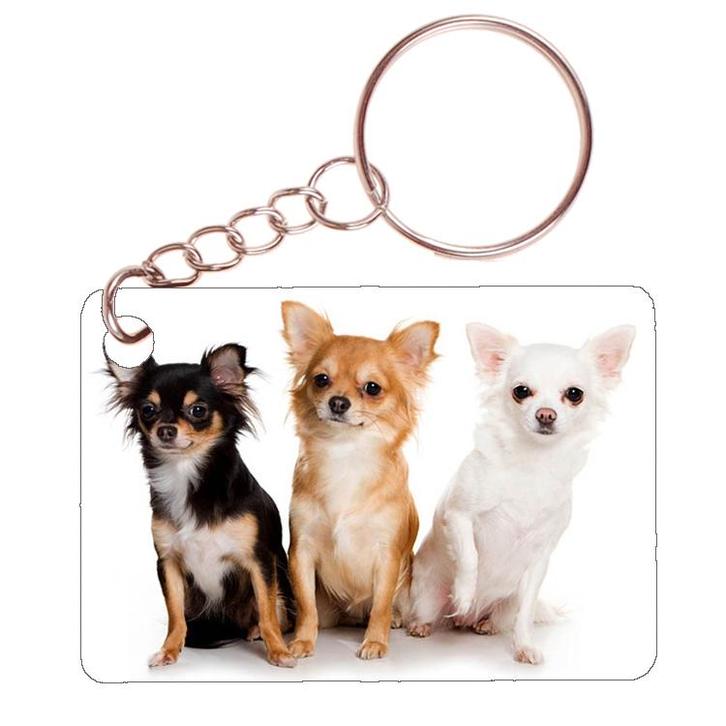 Sleutelhanger 6x4cm - Chihuahuas zwart/bruin/wit NIEUW, Verzamelen, Sleutelhangers, Nieuw, Ophalen of Verzenden