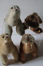 Steiff: 4 zeeleeuwen/walrussen - Pluche dier - 1990-2000 -, Antiek en Kunst, Antiek | Speelgoed