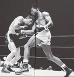 Fleur Josephine (1987) - Boxing, Antiek en Kunst