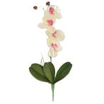 Wit/Roze Orchidee/Phalaenopsis kunstplant takken 44 cm voo.., Ophalen of Verzenden
