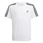 adidas  AYMERICA  Wit T-shirt Korte Mouw